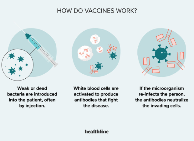 untitled design (89)